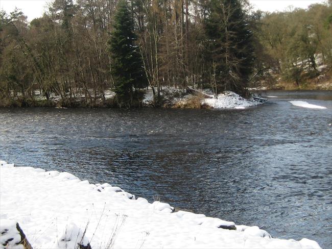 On the banks of the Tay in winter