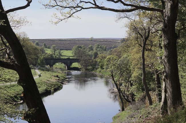 Barden Bridge