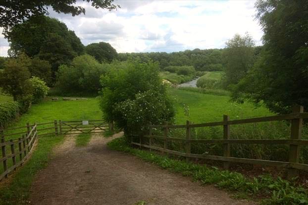 The Track Down Towards The River Dearne  (north of Darfield)