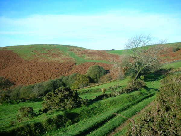 The Glamorgan Ridgeway Walk