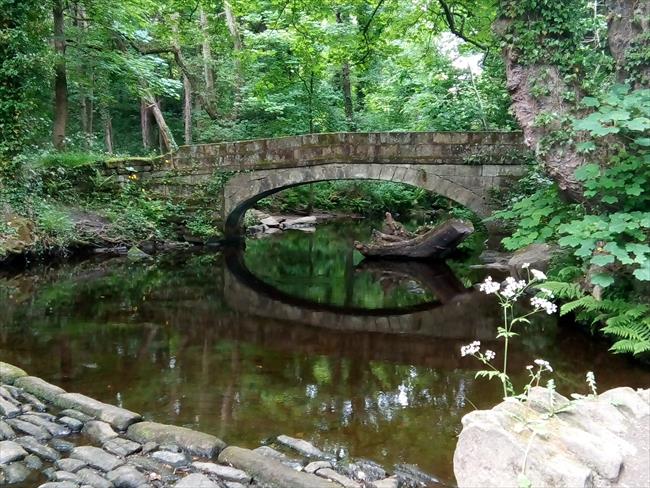 Pack Horse Bridge near Rails Road