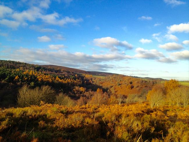 Blacka Moor in autumn