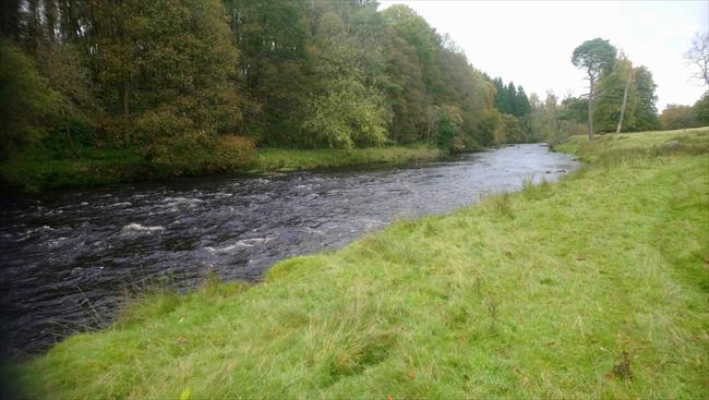 Allan Water near Kippenross House