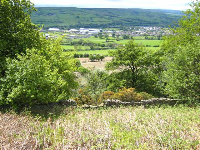 Wolsingham from Redgate hill