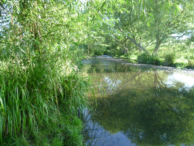 The River Pool