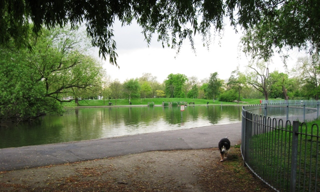 Mount Pond, Clapham Common