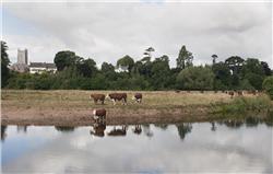 View across the Exe towards the village