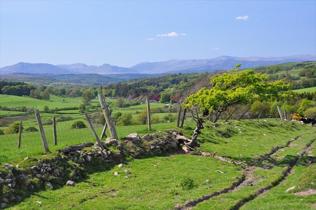 Snowdonia panorama near Pentrefoelas