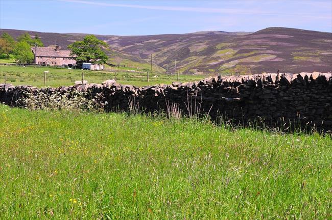 On Matley Moor