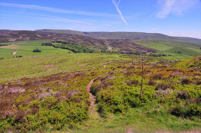 Kinder Scout from Lantern Pike