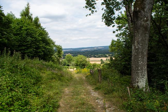 The long climb near the start of the walk