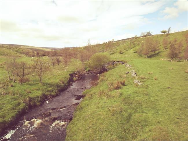 Wellhope burn