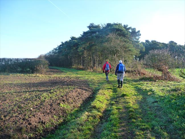 Well defined farm pathways