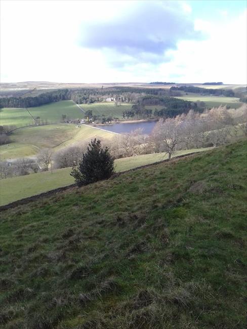 Tunstall Reservoir