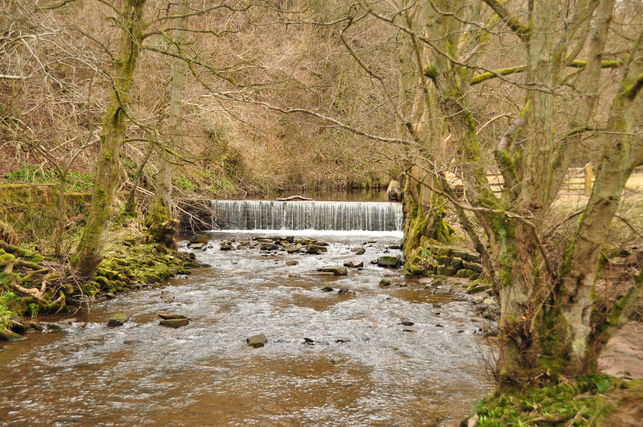 Farndale