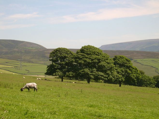 Longdendale from Hollingworthall Moor