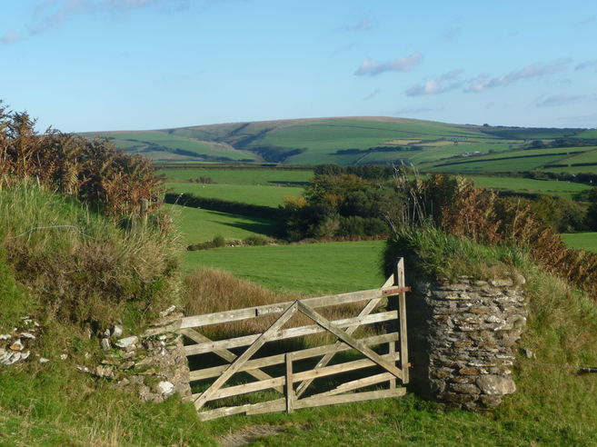 Challacombe Common