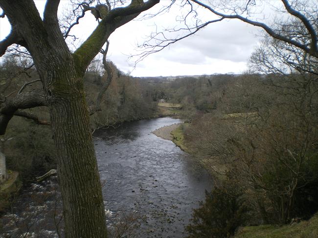 River Tees