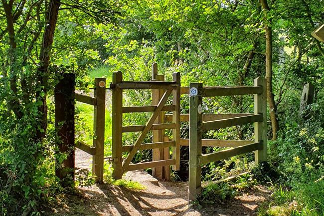 By Folly Brook, near Mill Hill