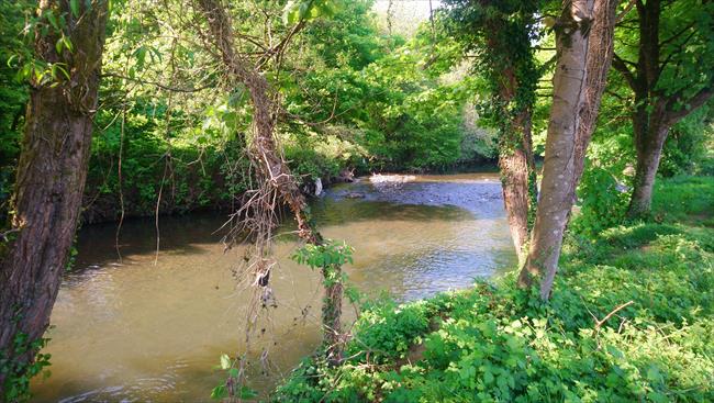 Rhymney River/Afon Rhymni