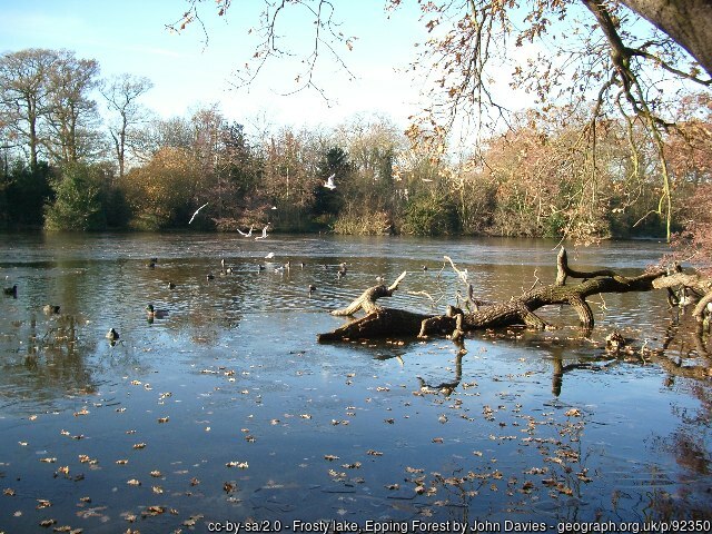 Highams Park Lake