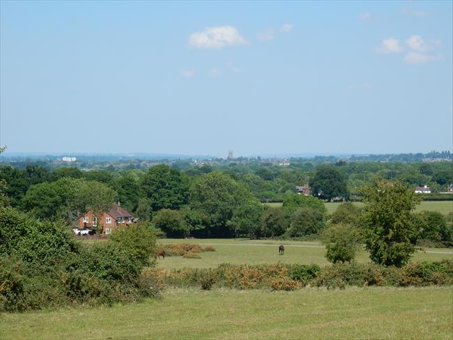 View from Kempsey Common to Worcester soon after the start