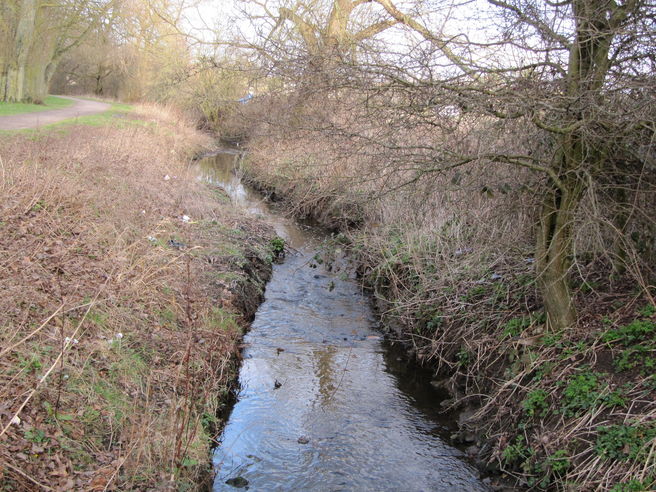 The River Ray as it runs by the Mannington Recreation Ground.