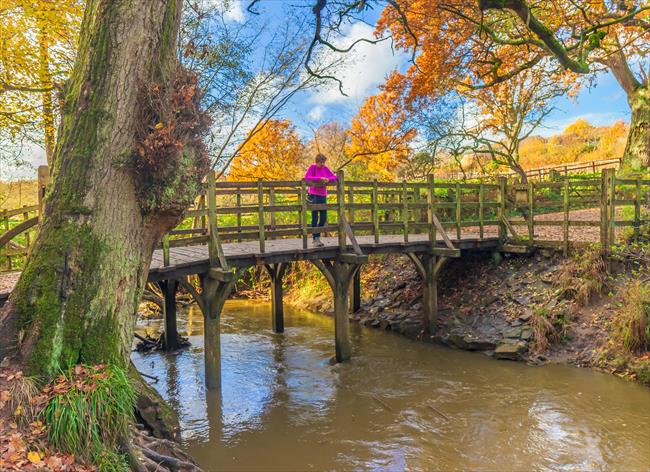 Pooh Bridge