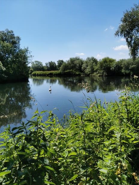 Along the river bank