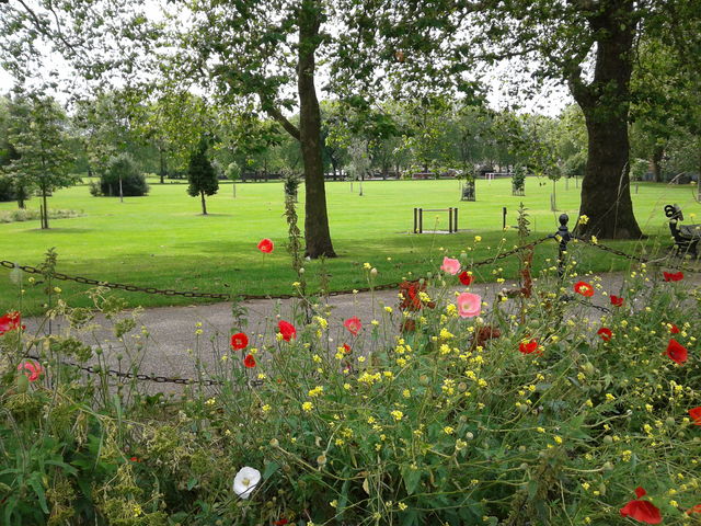 Millfields Park