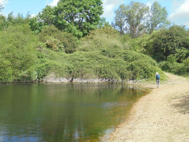 Plenty of riverside and lakeside walking on this route