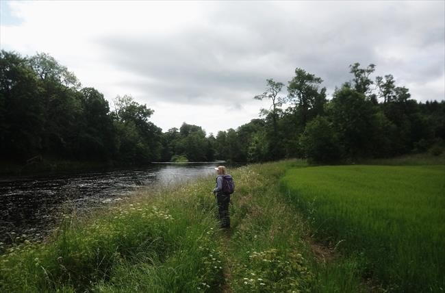 Path along the River Teith