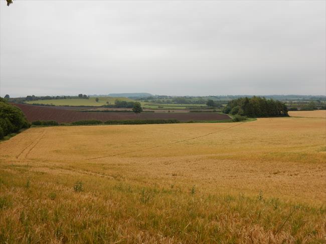 Views across Longdon Marsh and Severn Plain from the ridge between Points 3 & 4