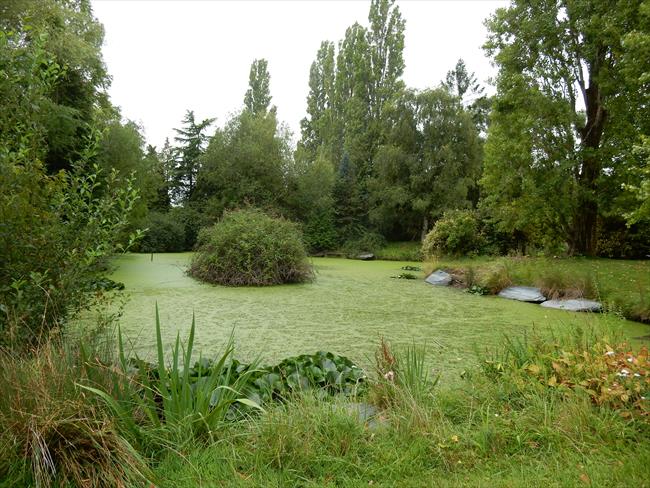 Between the ponds in the Eastington Hall grounds a little after Point 4