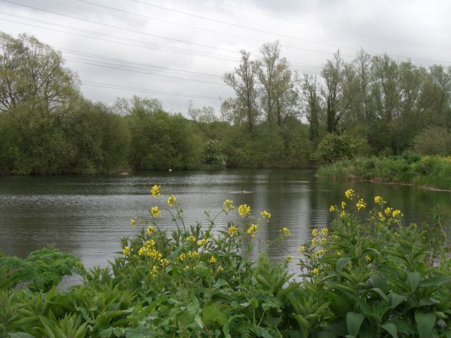 View over Hooks Marsh Lake