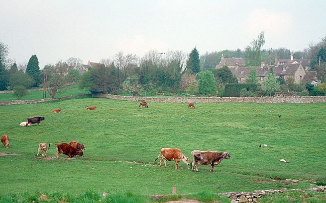 A pastoral scene near Chedworth