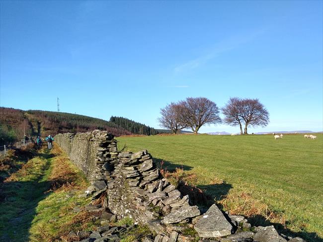 Path along the ridge (Beacons view between the trees)