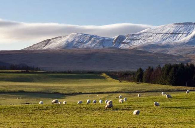 Fan Brycheiniog, from the East