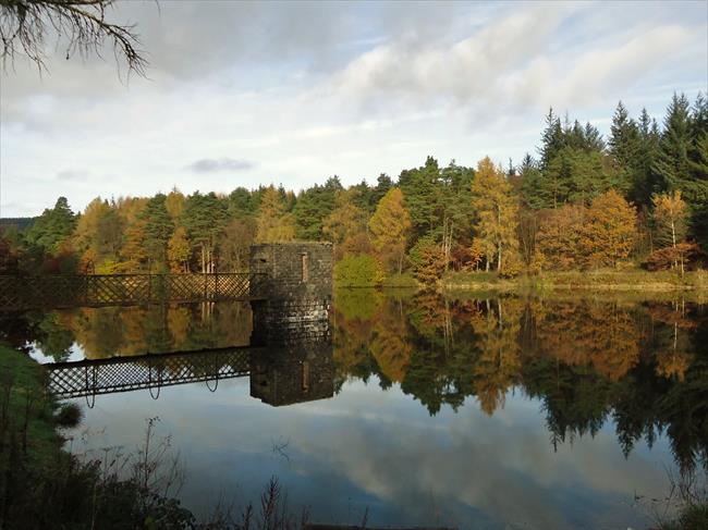 Autumn colours at Clydach reservoir