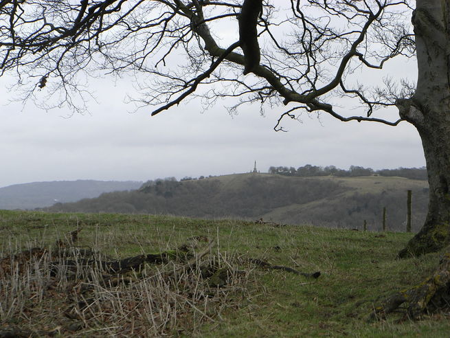 Coombe Hill from Beacon Hill