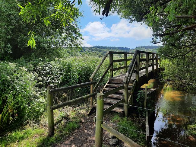 Footbridge over River Piddle