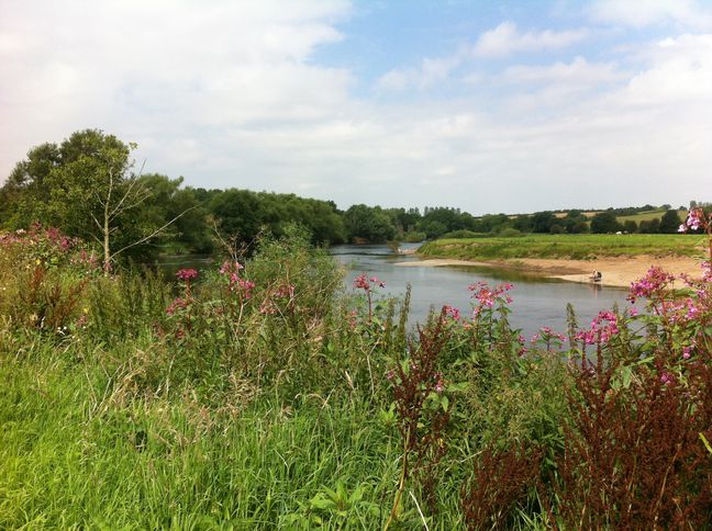 The Wye and pillars of Backney Bridge