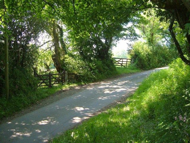 Lane near Gidleigh