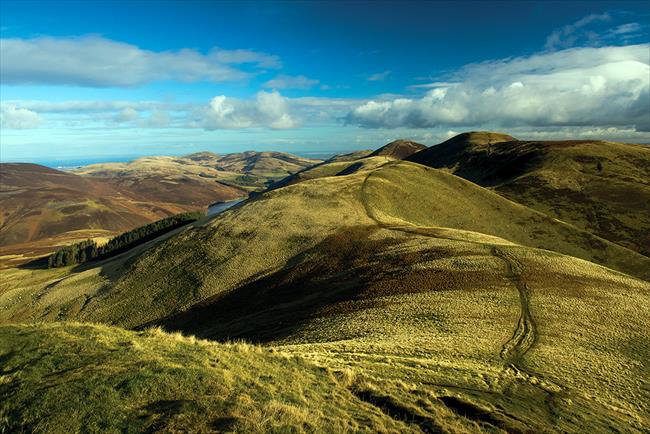 Scald Law from West Kip