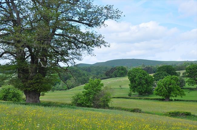 Weaver Hills from Ellastone