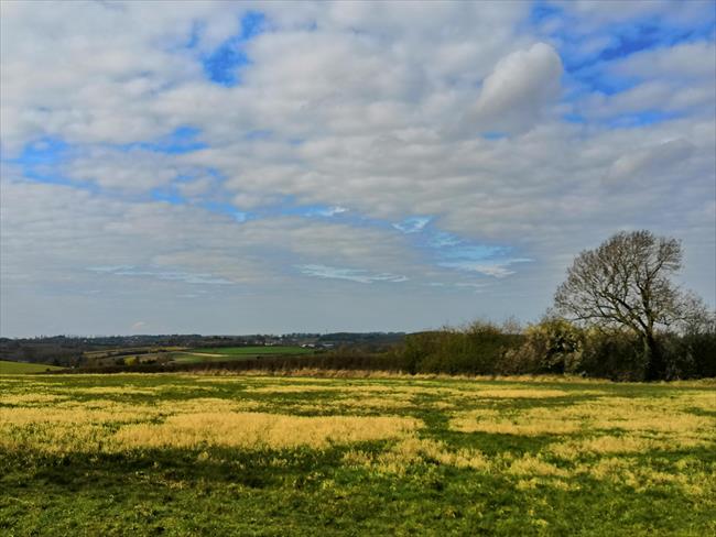 View from Lambley Dumbles