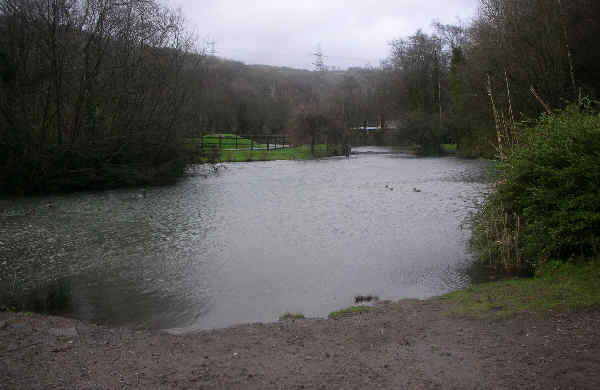 Pond in Barry Sidings Country Park