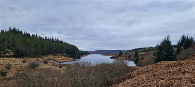 View from the trail to the Lake