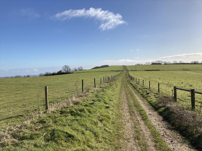 South Downs Way