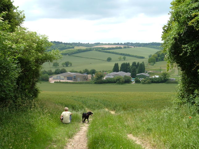 View from the Town End gateway